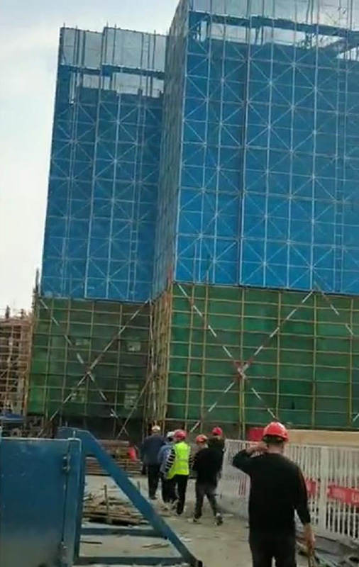 带你了解建筑黄瓜AVAPP网片的内部结构